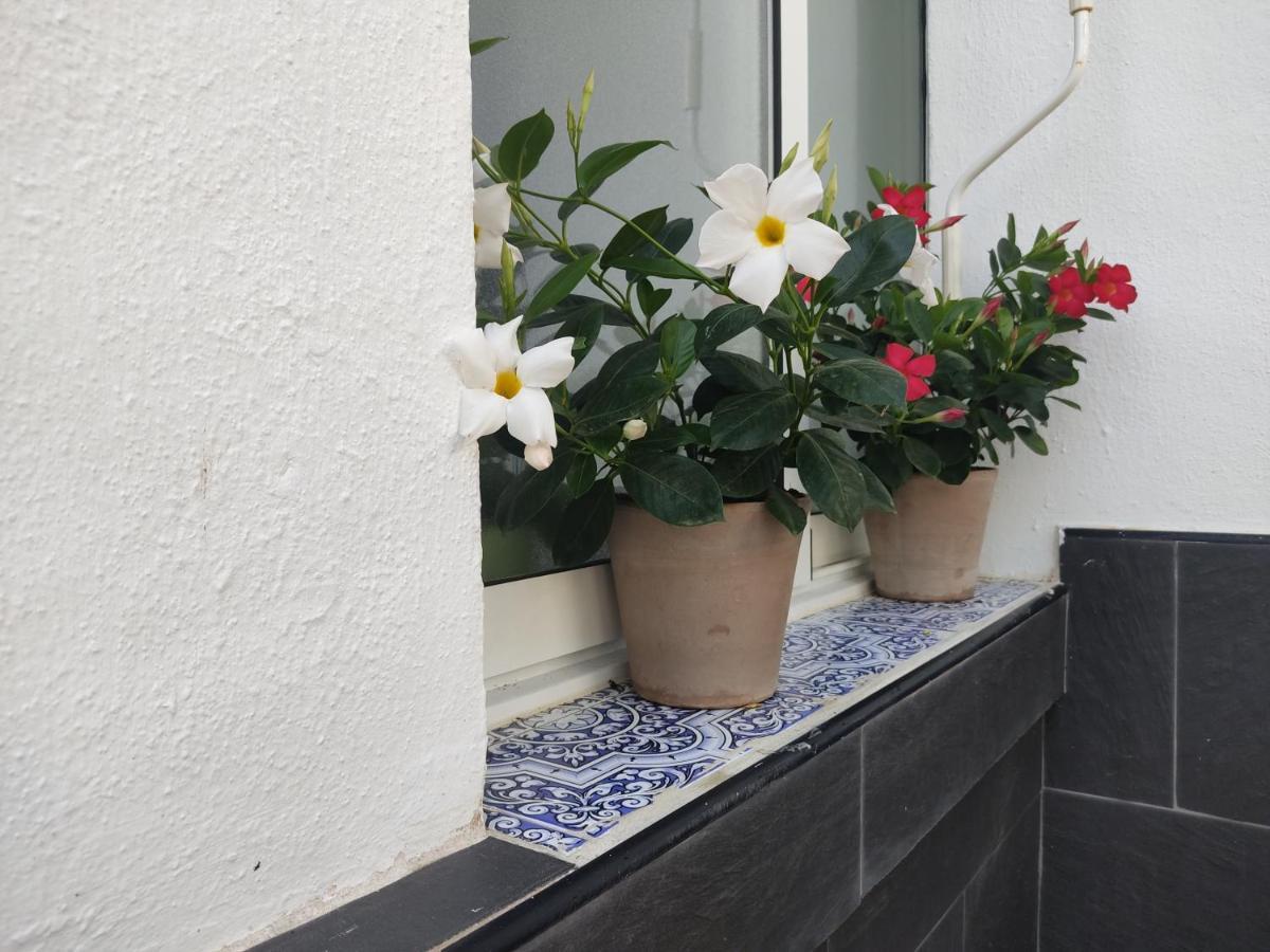 Apartamento 700 Metros De La Playa Playa Flamenca Kültér fotó
